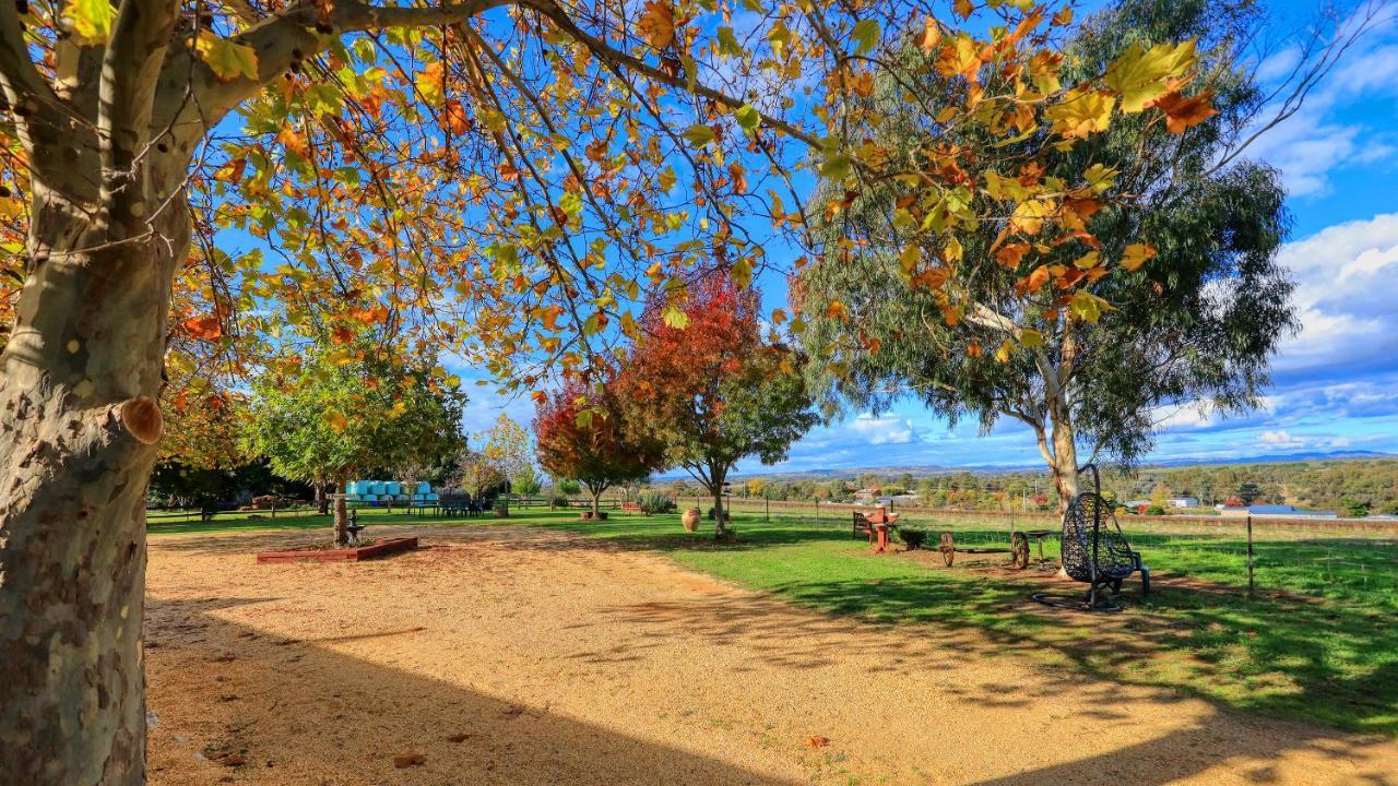 The Vineyard Motel Cowra Exterior photo