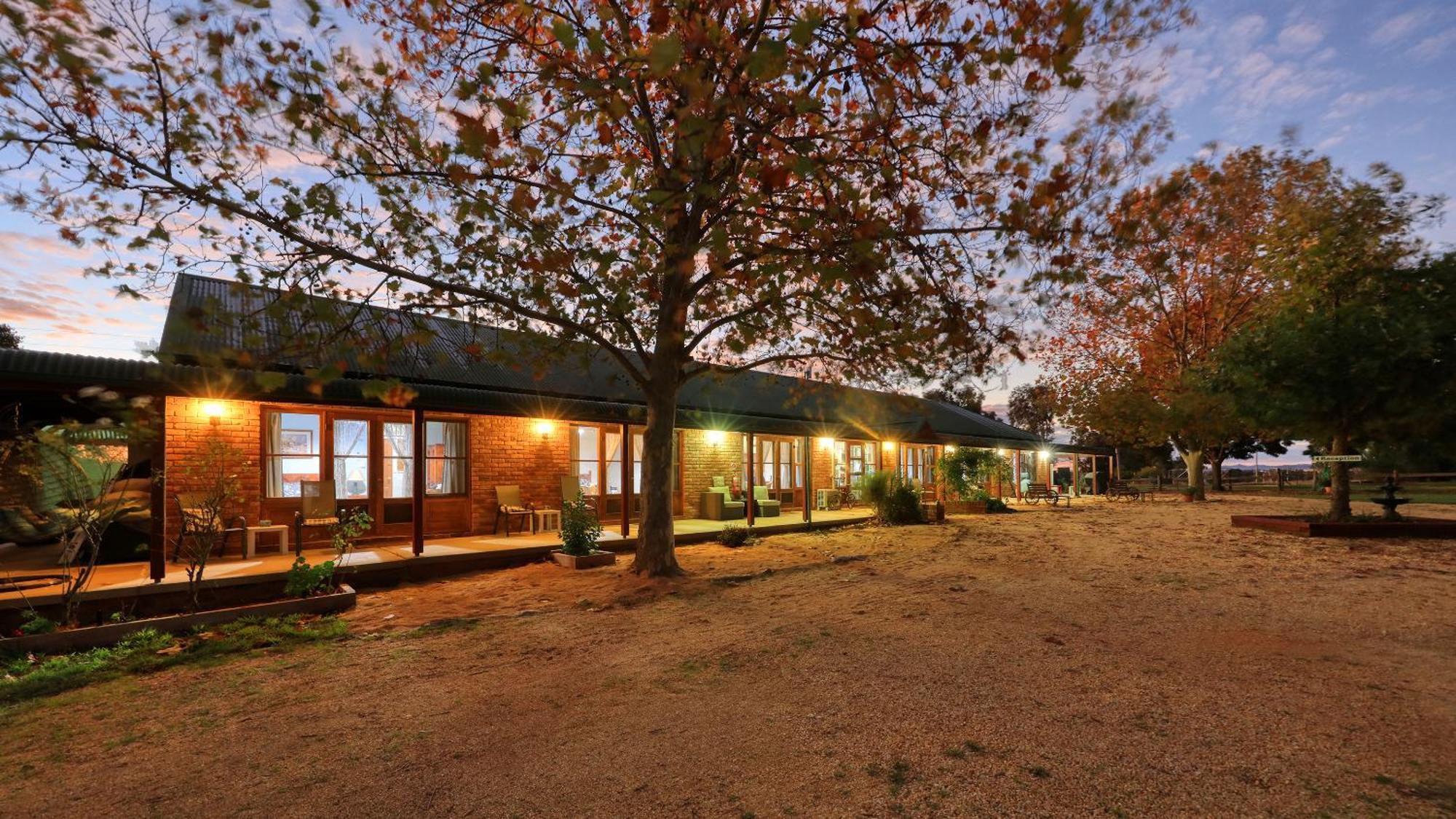 The Vineyard Motel Cowra Exterior photo